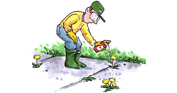 Pesticides: Designed to kill